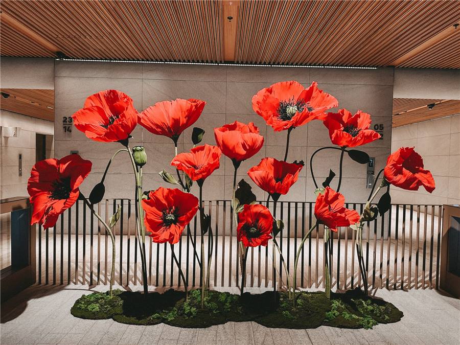 Paper poppies and moss installation