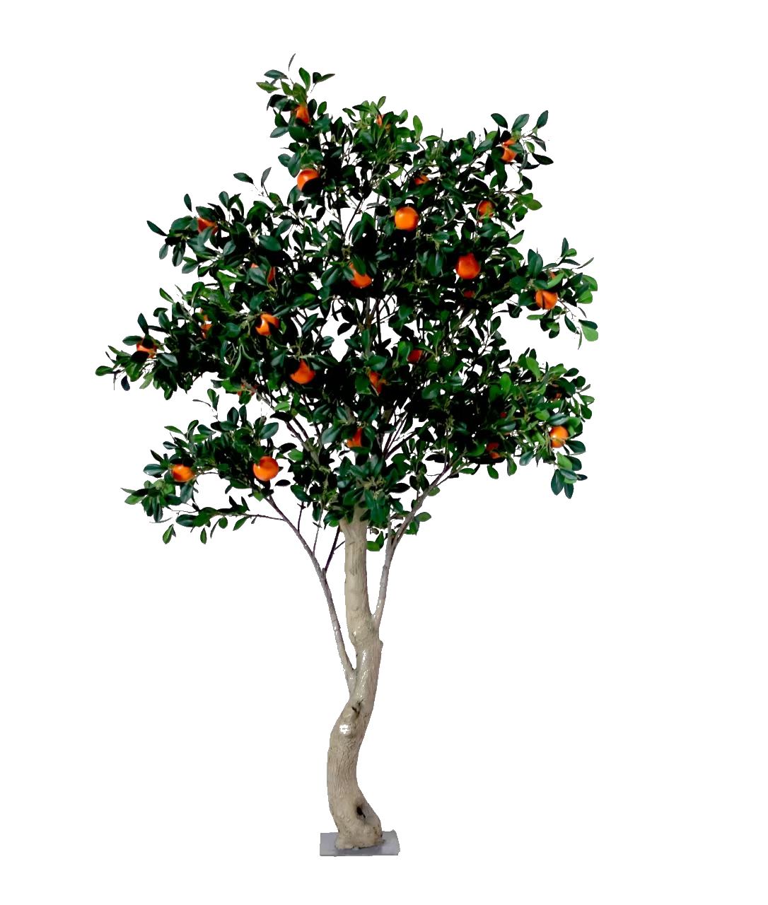 Artificial Citrus / Orange Trees