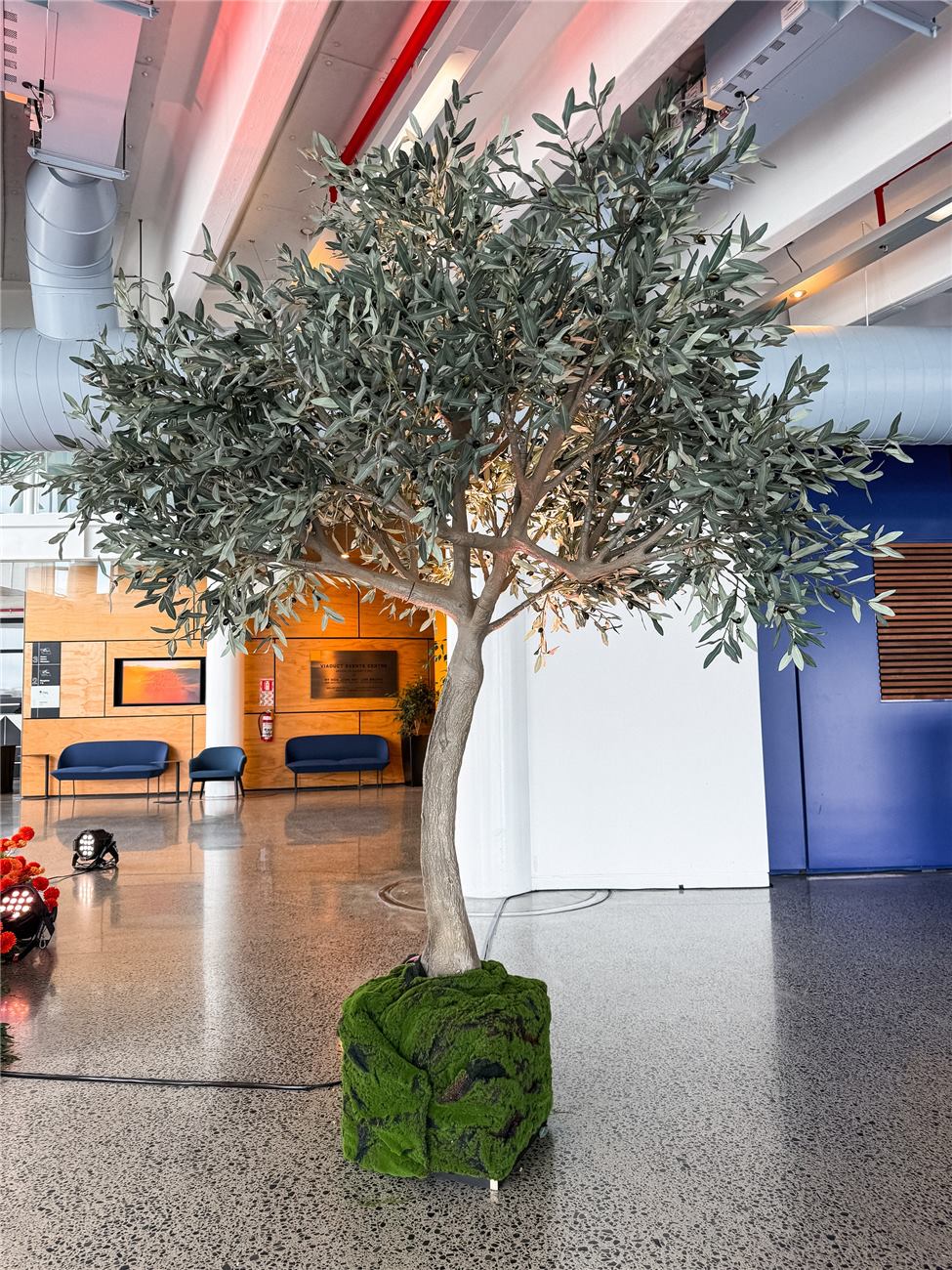 Artificial Olive Trees at an event